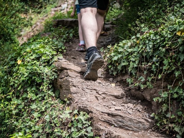 Chaussures de randonnée sport : Top choix pour allier performance et confort en pleine nature